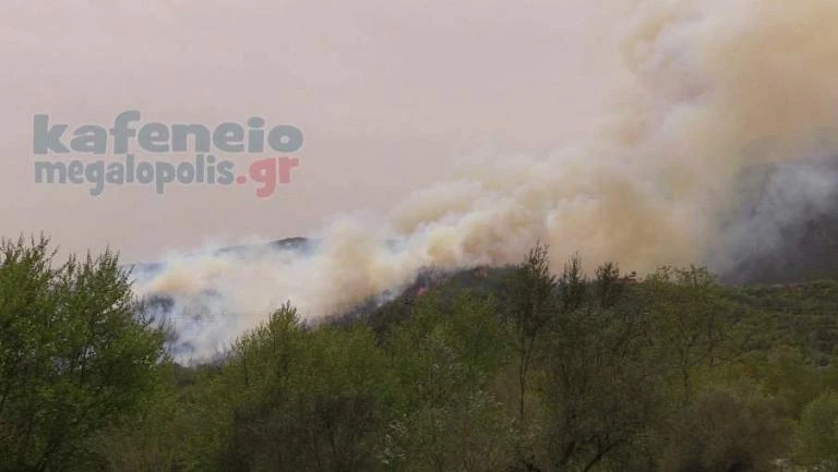 Μεγαλόπολη: Φωτιά στην Ποταμιά Φαλαισίας – Ενισχύσεις από την Τρίπολη (εικόνες, βίντεο)